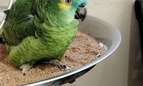 Paws Veterinary Clinic Mesa